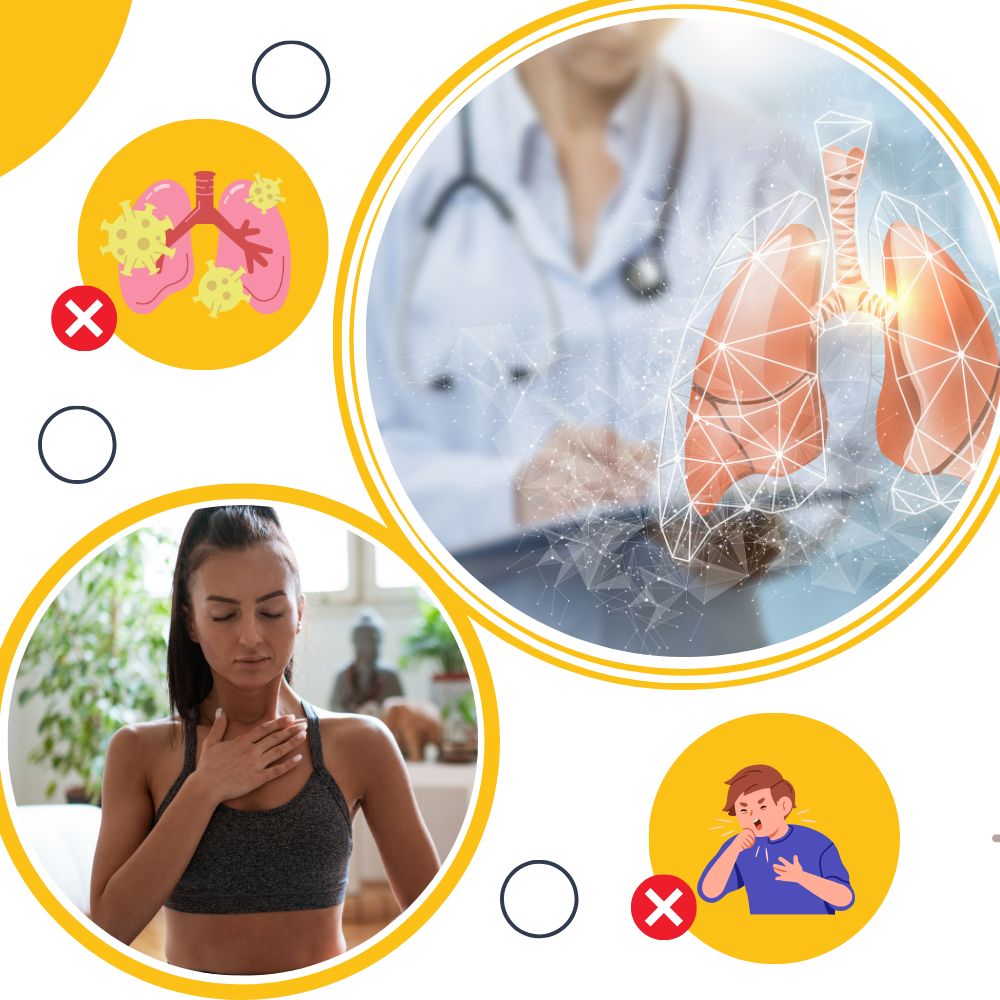 Molène sans gluten pour la santé des poumons - Ozerty