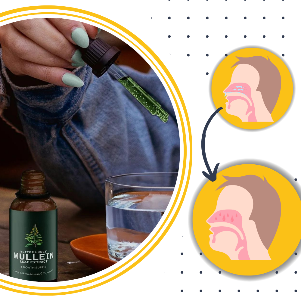 Molène sans gluten pour la santé des poumons