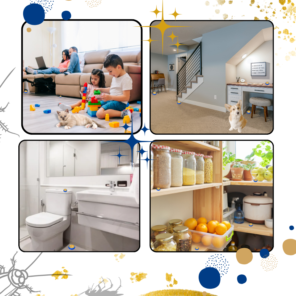 Pièges à blattes sans odeurs
- Ozerty