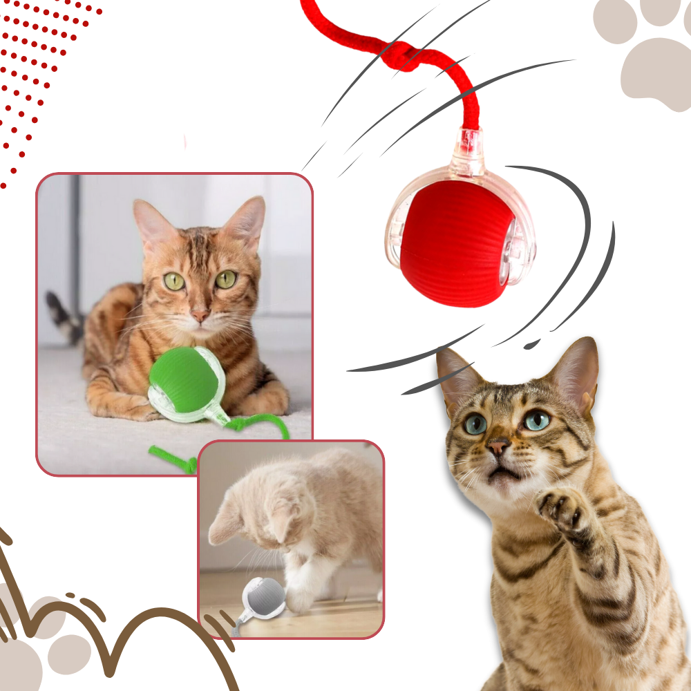 Jouet interactif intelligent pour chats - Ozerty