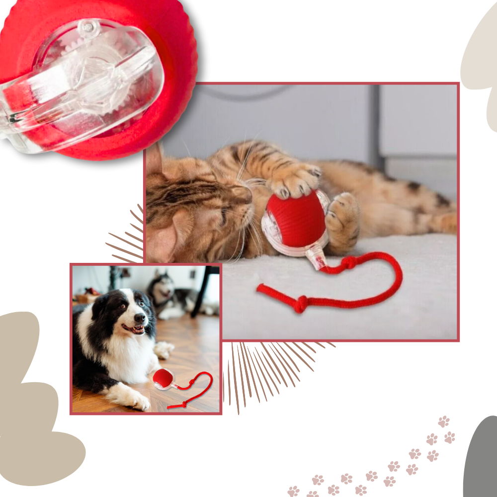 Jouet interactif intelligent pour chats - Ozerty