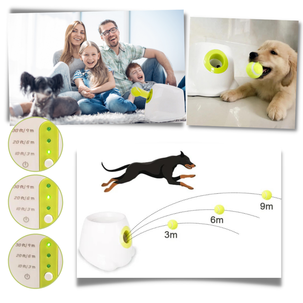 Lanceur de balles automatique pour chiens - Ouistiprix