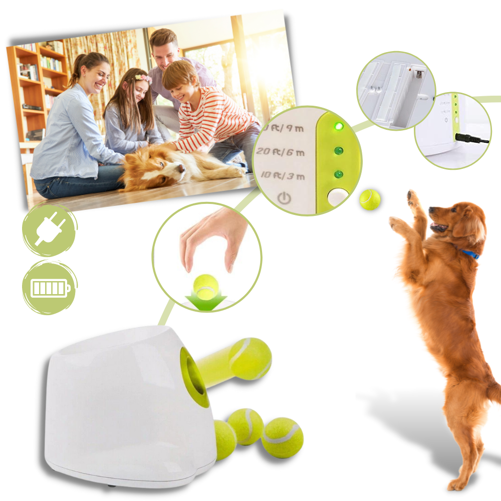 Lanceur de balles automatique pour chiens - Ouistiprix