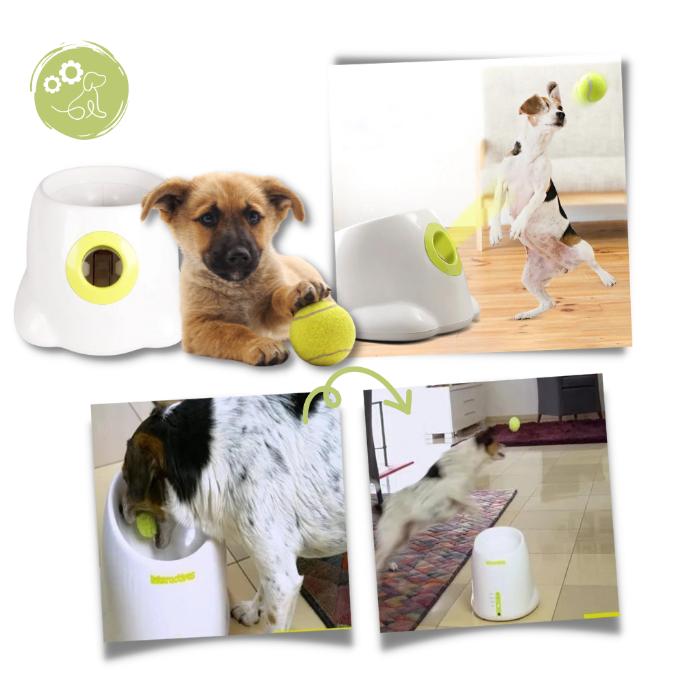 Lanceur de balles automatique pour chiens - Ouistiprix