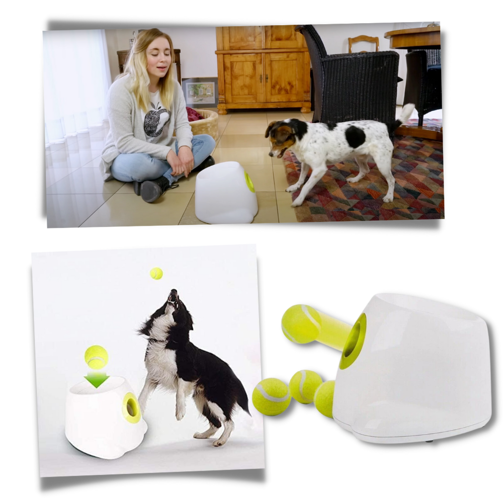 Lanceur de balles automatique pour chiens - Ouistiprix