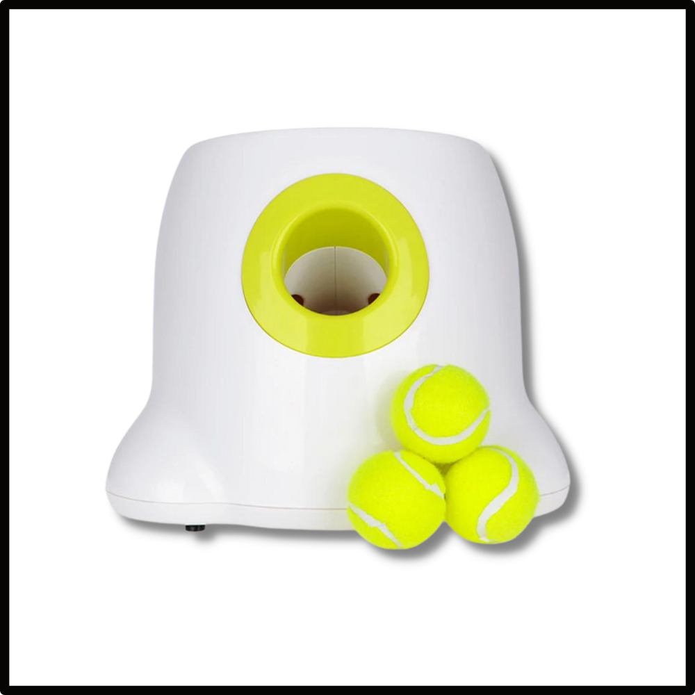 Lanceur de balles automatique pour chiens - Ouistiprix