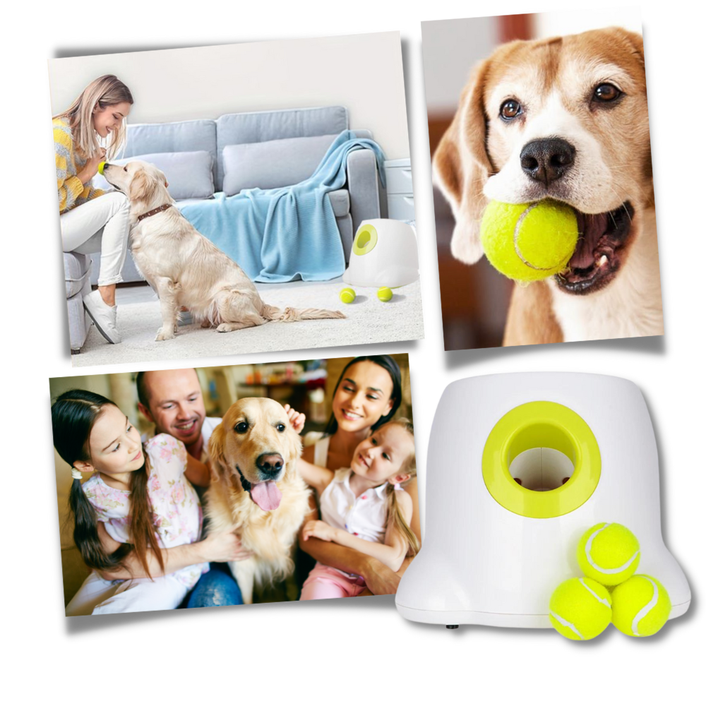 Lanceur de balles automatique pour chiens - Ouistiprix