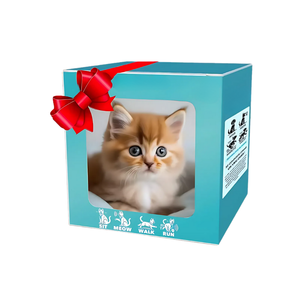 Adorable robot chaton/chiot -British Longhair - Ozerty