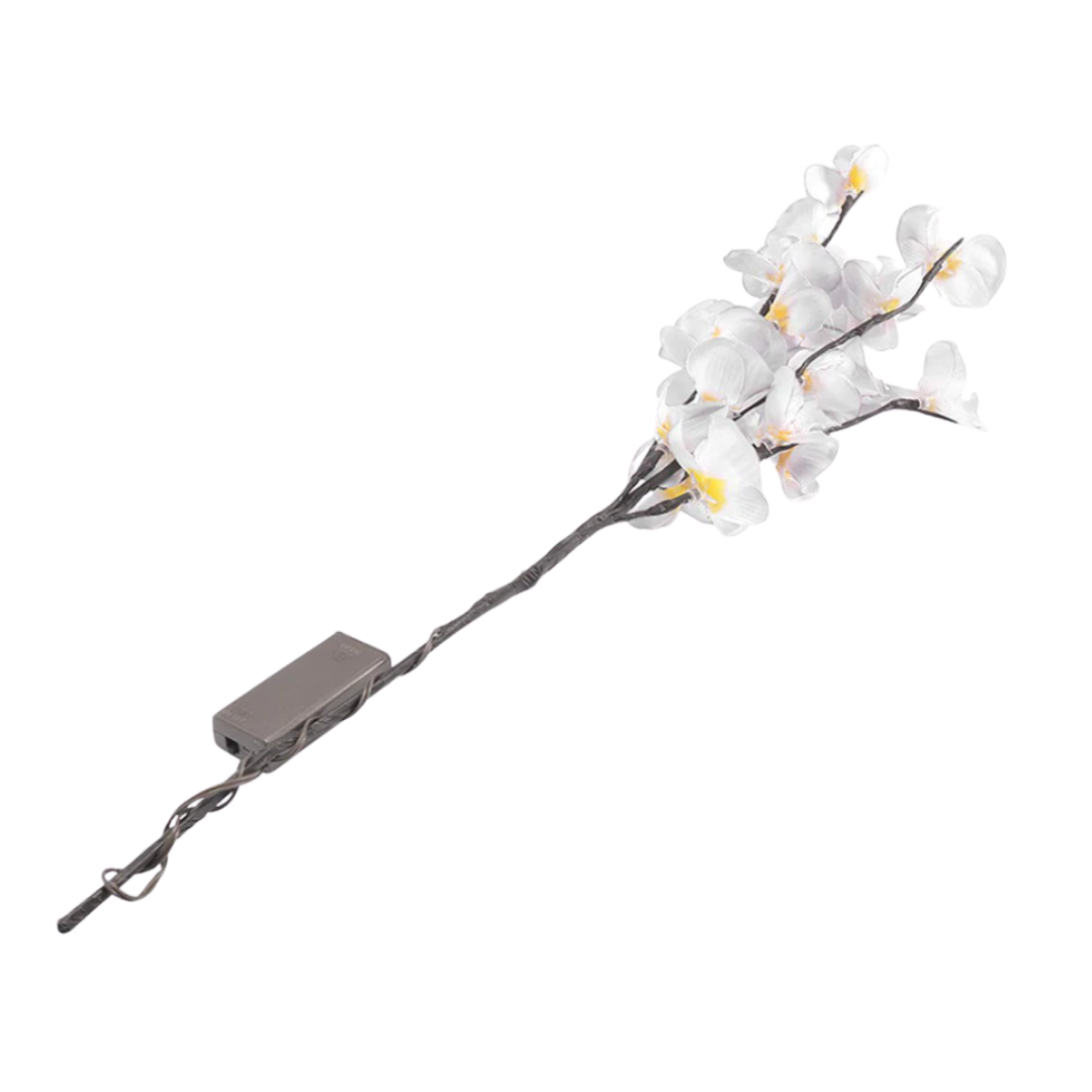 LED orchidée lumineuse