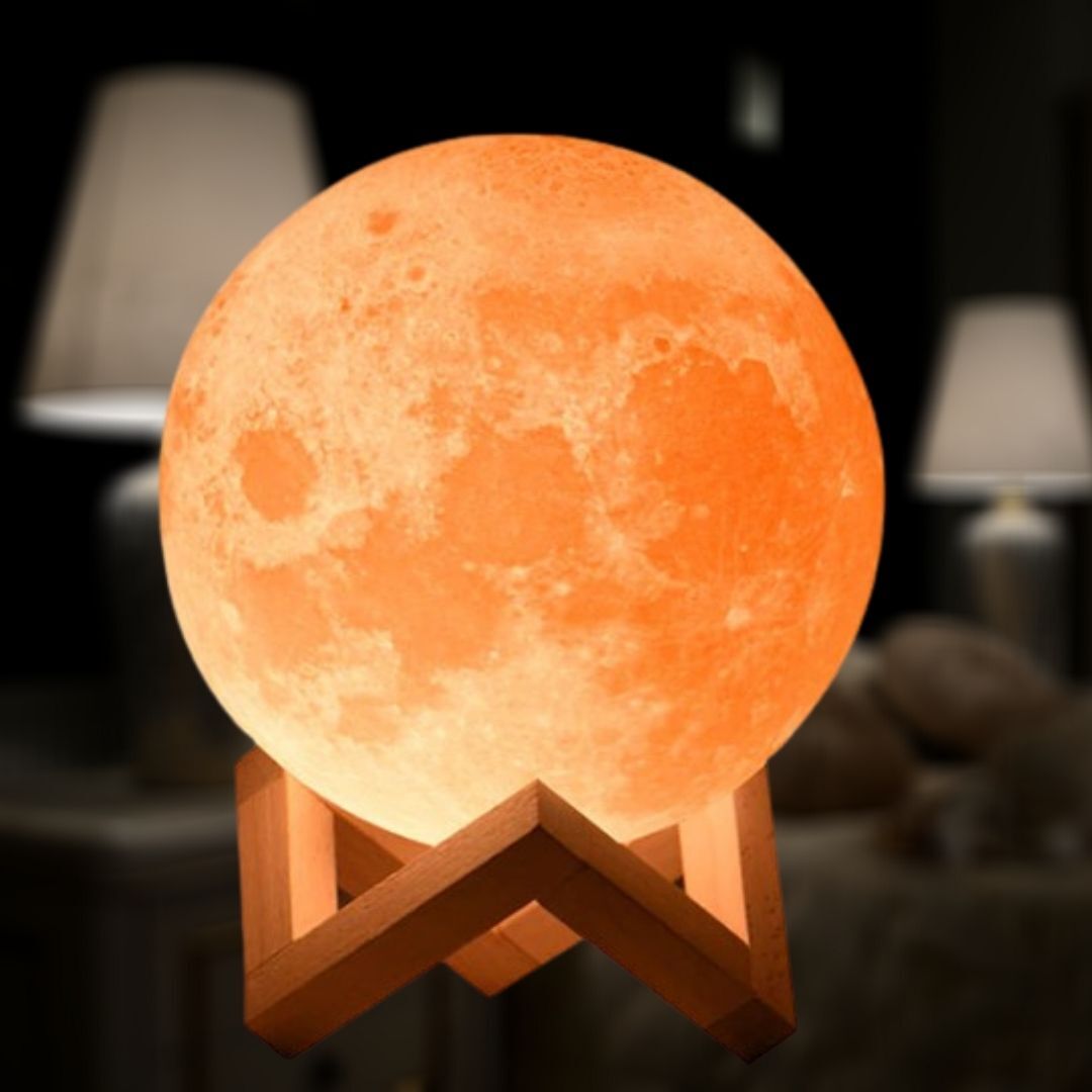 Lampe LED de salon : lune de nuit et rose lumineuse