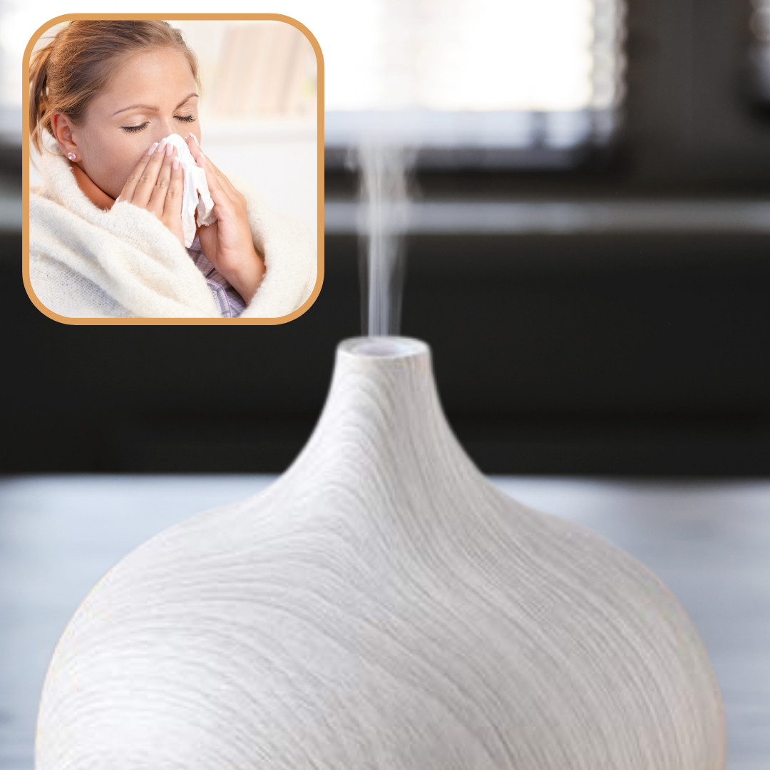 Diffuseur d'huiles essentielles et humidificateur