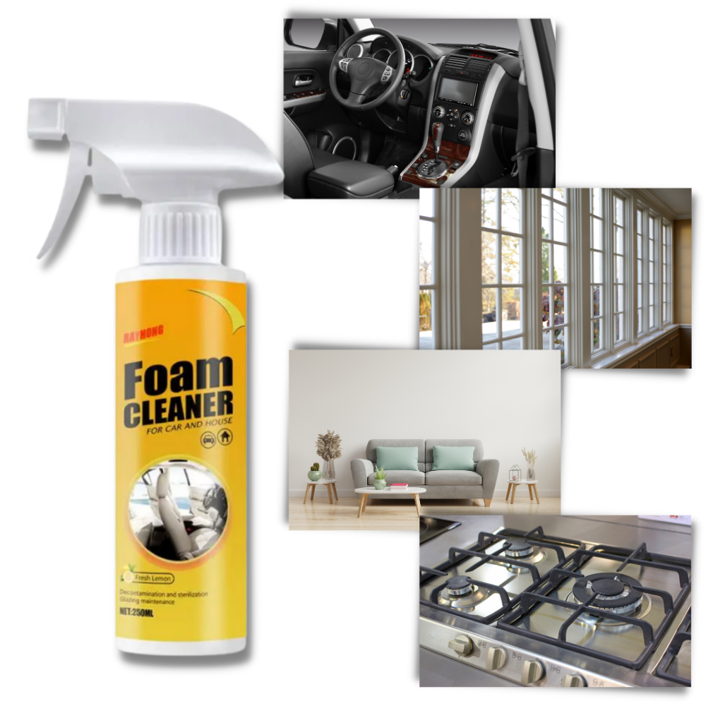 Mousse nettoyante pour voitures - Ouistiprix