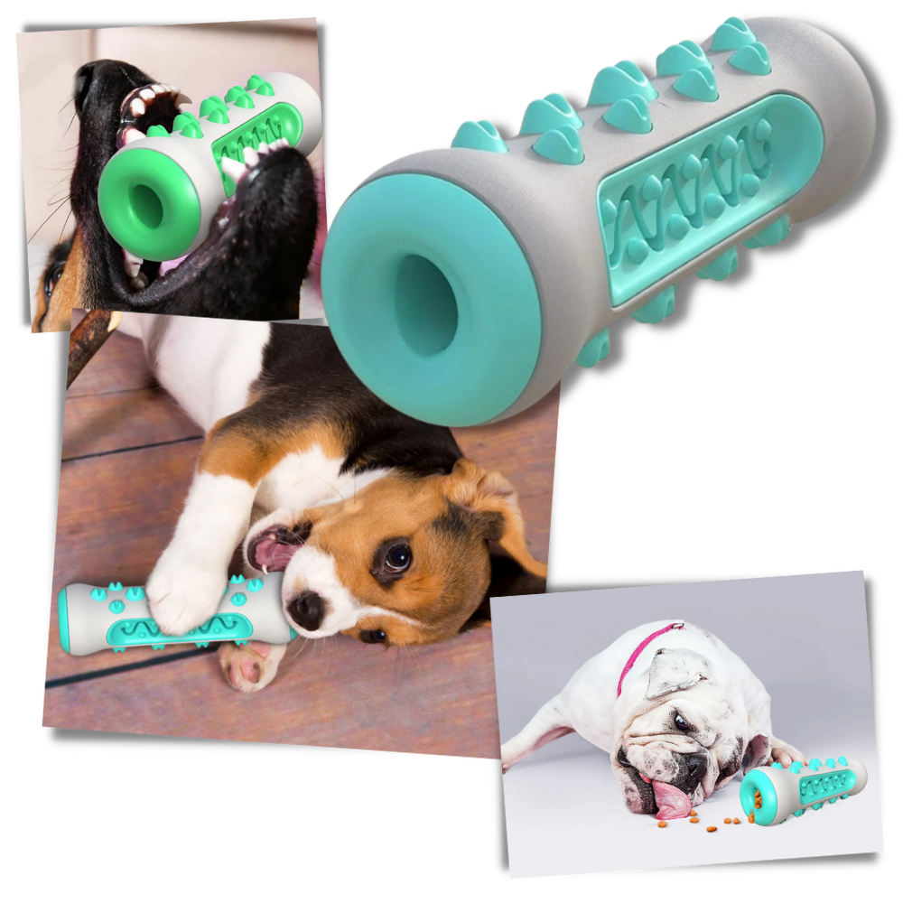 Jouet à mâcher pour chiens - Ouistiprix